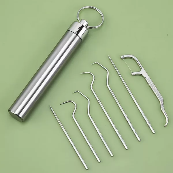 stainless steel toothpick set, stainless steel toothpicks pocket set